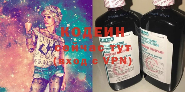 шишки Аркадак