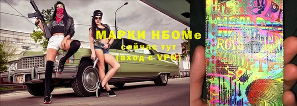 шишки Аркадак