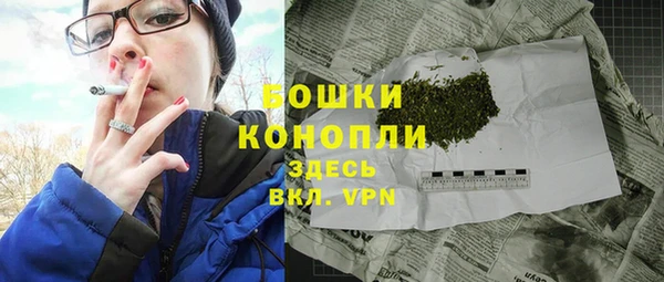 шишки Аркадак
