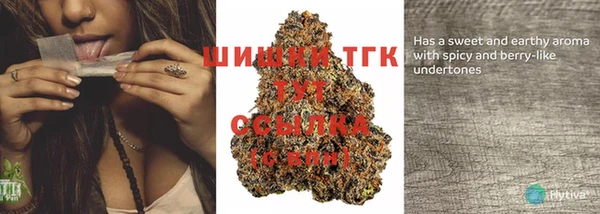 шишки Аркадак