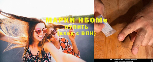 шишки Аркадак