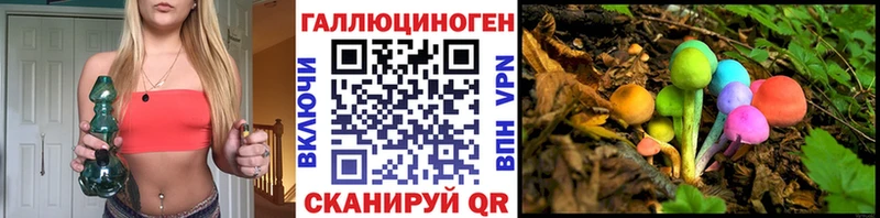 закладка  Углегорск  Галлюциногенные грибы Psilocybe 